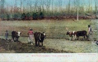 Farming in the 1800s, Asheville, North Carolina : norman-martin-north-carolina-nc-asheville-0542.jpg [4658530-595320204]