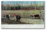 Farming in the 1800s, Asheville, North Carolina: norman-martin-north-carolina-nc-asheville-0542.jpg [4658530-595320204]