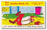 norman-martin-north-carolina-nc-carolina-beach-0038.jpg, Carolina Beach, North Carolina: norman-martin-north-carolina-nc-carolina-beach-0038.jpg [3976555-43320198]