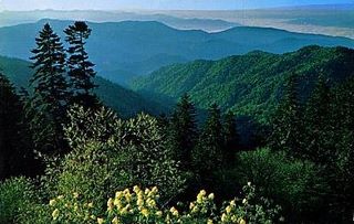 norman-martin-north-carolina-nc-great-smoky-mountains-0013.jpg, Great Smoky Mountains, North Carolina : norman-martin-north-carolina-nc-great-smoky-mountains-0013.jpg [2894776-55320203]