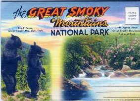 norman-martin-north-carolina-nc-great-smoky-mountains-0027.jpg, Great Smoky Mountains, North Carolina : norman-martin-north-carolina-nc-great-smoky-mountains-0027.jpg [2894790-55283204]