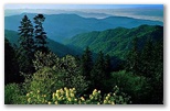 norman-martin-north-carolina-nc-great-smoky-mountains-0013.jpg, Great Smoky Mountains, North Carolina: norman-martin-north-carolina-nc-great-smoky-mountains-0013.jpg [2894776-55320203]