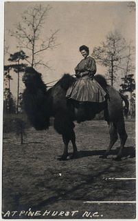 norman-martin-north-carolina-nc-moore-county-0022.jpg, Moore County, North Carolina : norman-martin-north-carolina-nc-moore-county-0022.jpg [1903276-97201320]