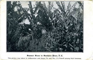 norman-martin-north-carolina-nc-moore-county-0078.jpg, Moore County, North Carolina : norman-martin-north-carolina-nc-moore-county-0078.jpg [1903332-97320208]