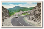 norman-martin-north-carolina-nc-mount-mitchell-0035.jpg, Mount Mitchell, North Carolina: norman-martin-north-carolina-nc-mount-mitchell-0035.jpg [1813103-35320204]