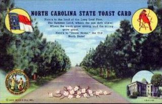 norman-martin-north-carolina-nc-north-carolina-0023.jpg, North Carolina : norman-martin-north-carolina-nc-north-carolina-0023.jpg [1632682-53320206]