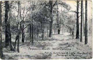 norman-martin-north-carolina-nc-pinebluff-0002.jpg, Pinebluff, North Carolina : norman-martin-north-carolina-nc-pinebluff-0002.jpg [1372214-6320207]