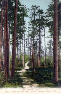 Southern Pines, Southern Pines, North Carolina : norman-martin-north-carolina-nc-southern-pines-0013.jpg [761232-67206320]