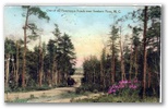 norman-martin-north-carolina-nc-southern-pines-0007.jpg, Southern Pines, North Carolina: norman-martin-north-carolina-nc-southern-pines-0007.jpg [761226-67320199]