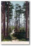 Southern Pines, Southern Pines, North Carolina: norman-martin-north-carolina-nc-southern-pines-0013.jpg [761232-67206320]