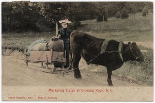 norman-martin-north-carolina-nc-watauga-county-0025.jpg, Watauga County, North Carolina : norman-martin-north-carolina-nc-watauga-county-0025.jpg [34821-28320212]